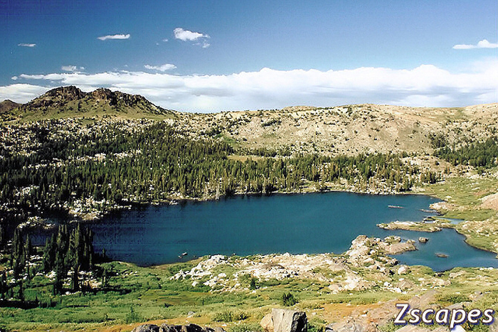 snowlake-emw99