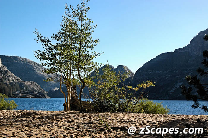 bensonlake-ynp0609