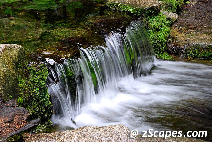fernfalls-ynp09