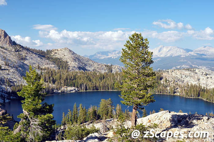 maylake-ynp1008