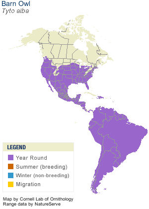 barnowl-map