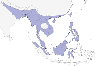 chestnutmunia-map