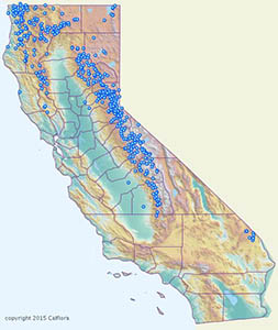 pinematmanzanita-range