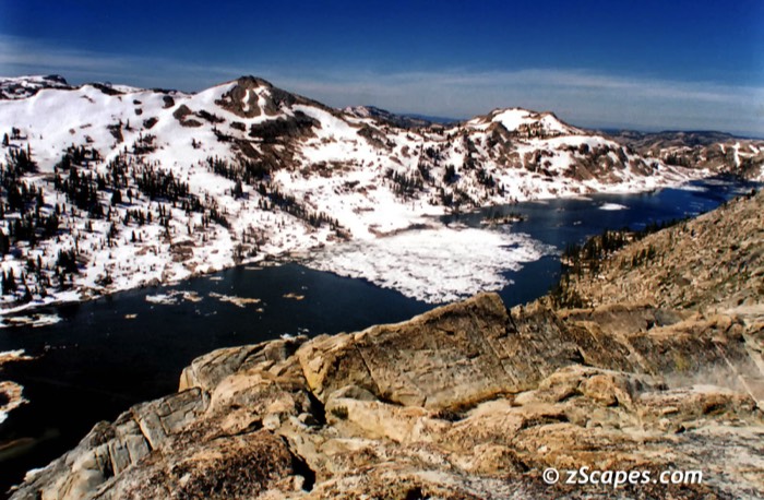 bigemigrant-aboveview-emw9706-0016