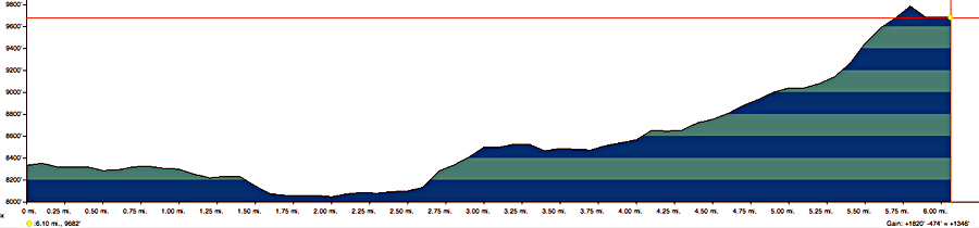 2011 Trip Profile 