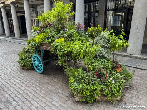Covent Garden flower stand