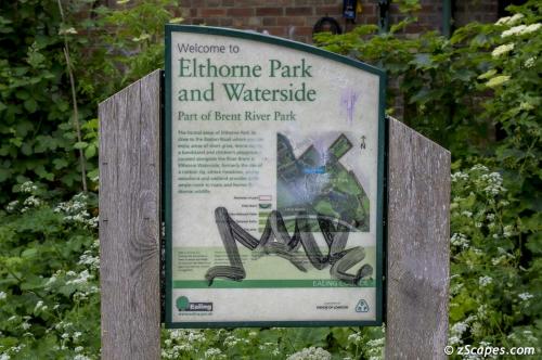 Elthorne Park sine