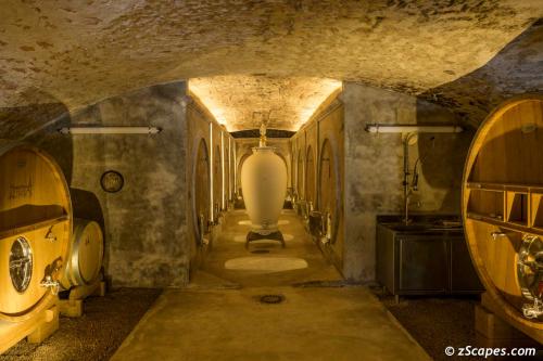 Château de Champ-Renard Cellar