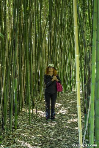Château de Champ-Renard Betsey in Bamboo Grove