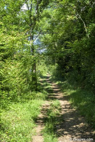 Voie du Tacot trail in the woods