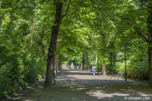 Tree lined path on the trail down form the Basilica