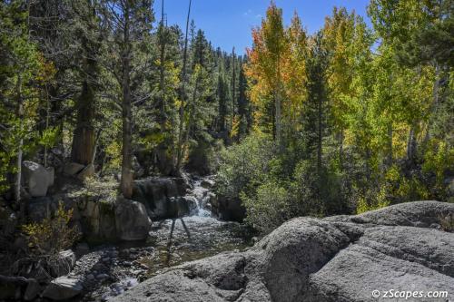 Sardine Creek