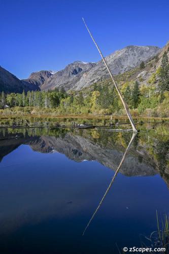 Beaver Pond