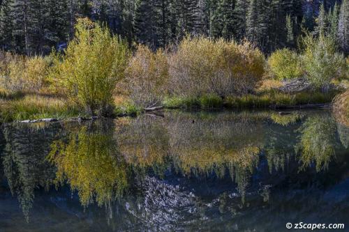 Reflections Beaver Pond