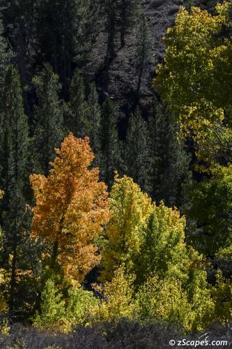 Lundy Canyon Multi-Colors