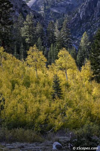 Last shot Sonora Pass West