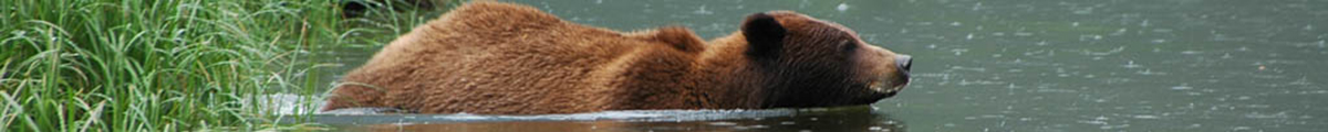 mega-bn-north-mncubs1waterin04-ypr0505