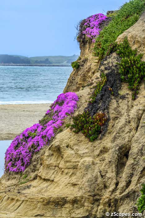 Stacks Image 8331
