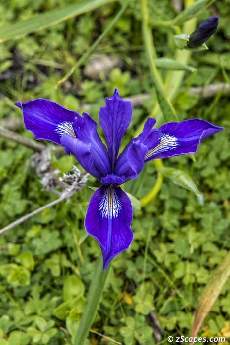 Stacks Image 8499