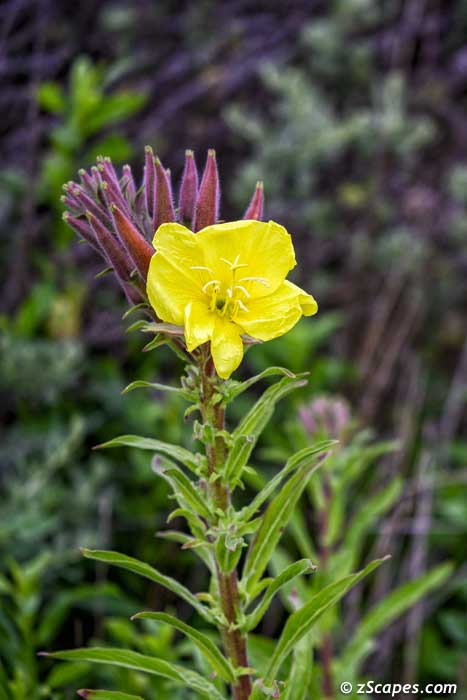 Stacks Image 8308