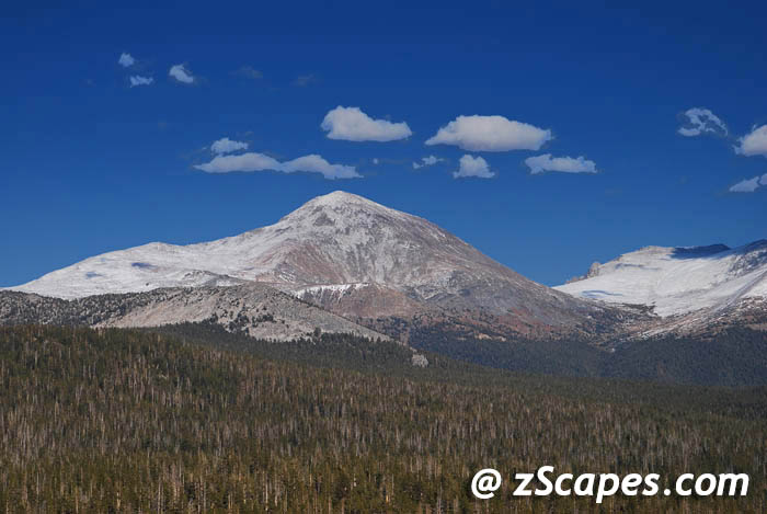 Stacks Image 10655