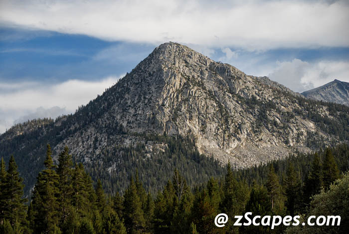 Stacks Image 9921