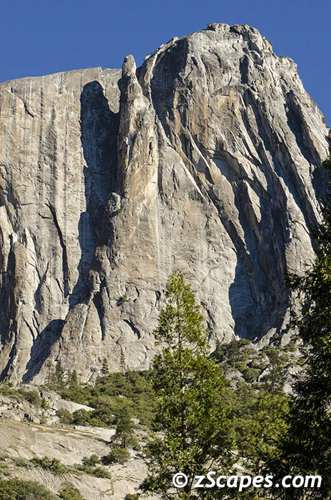 Stacks Image 9134