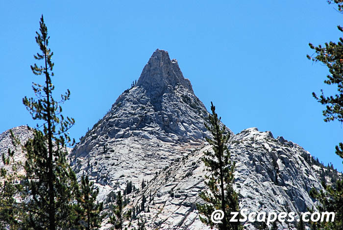 Stacks Image 10417