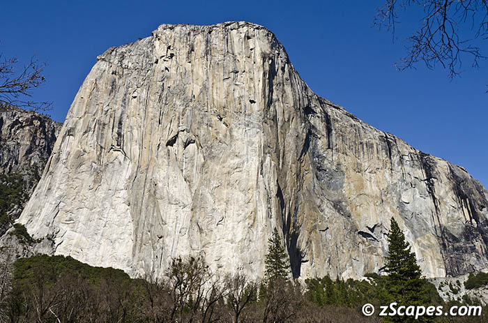 Stacks Image 10781