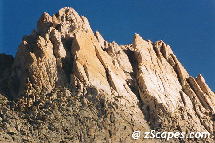 Stacks Image 10563
