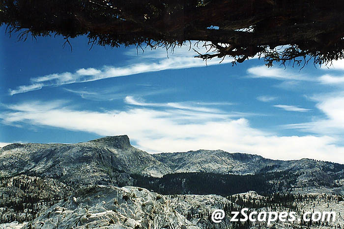 Stacks Image 10758