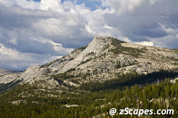 Stacks Image 10297