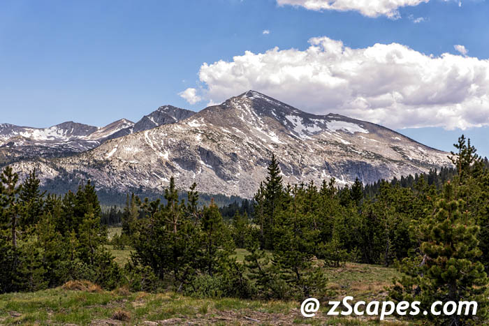 Stacks Image 9171