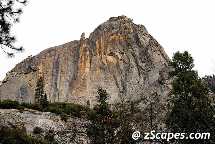 Stacks Image 9163