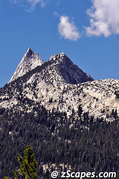 Stacks Image 10634