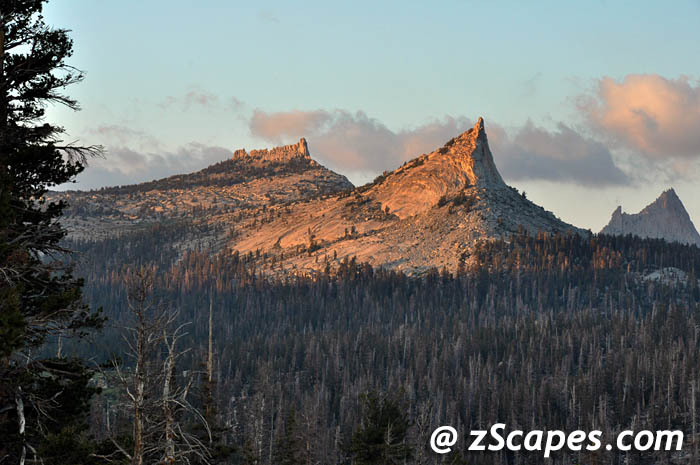 Stacks Image 8261