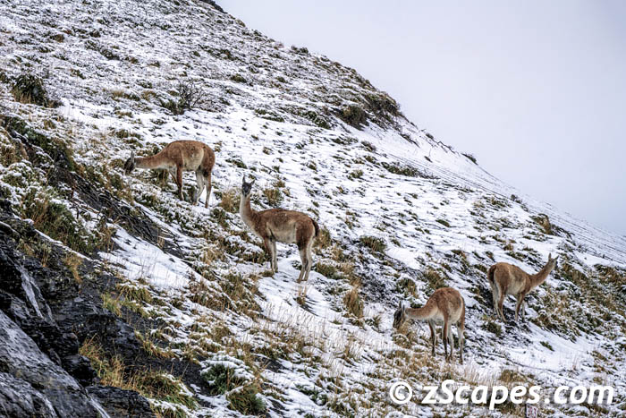 Stacks Image 8108