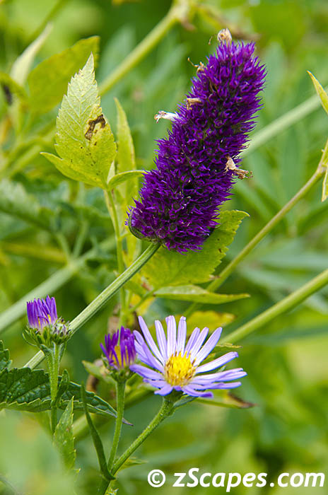 Stacks Image 6891