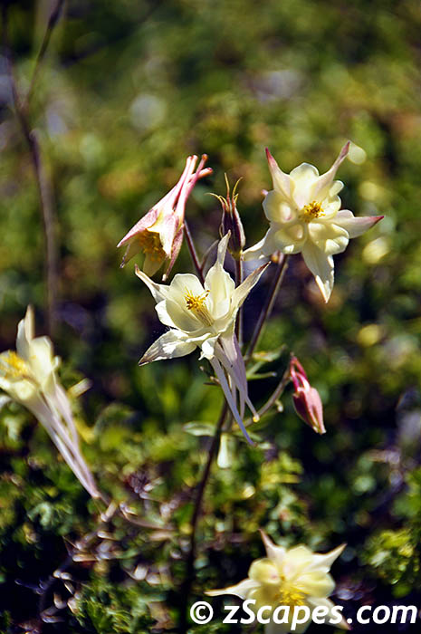 Stacks Image 6554