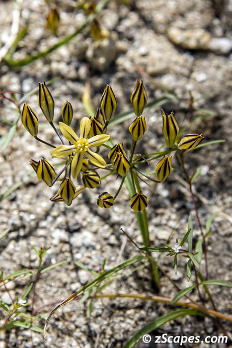 Stacks Image 7312