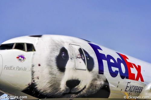 FedEX B777-200f Panda Nose 2010