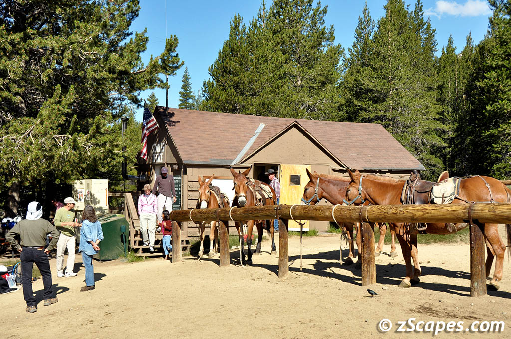 Hi-Sierra Camps 2010