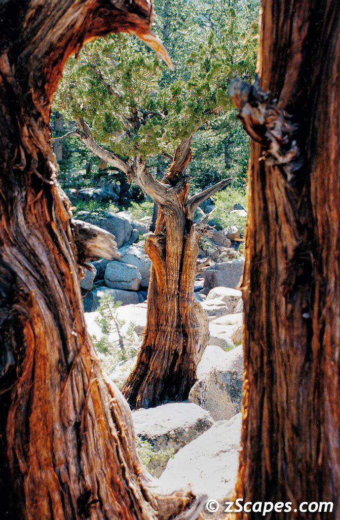 Kennedy Meadows 2000