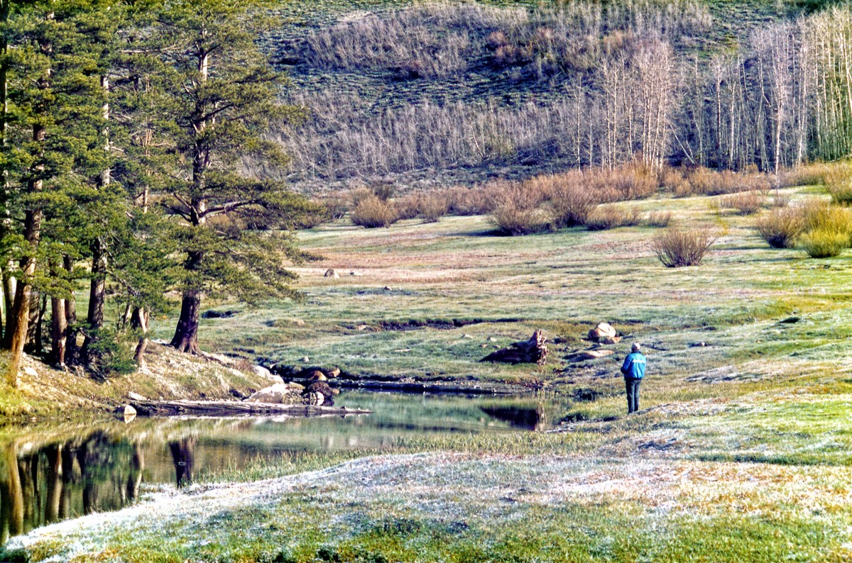 Kennedy Lake 1987