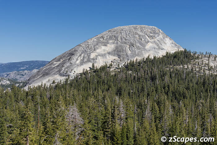 fairviewdome-xcathderal-ynp2006-4969
