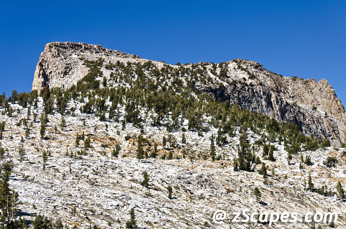 tuolumnepeak-ynp1309-0087