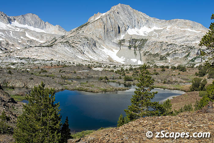 Stacks Image 7261
