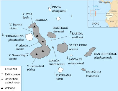 Galapogas Tortise Range Map