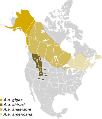 moose-range