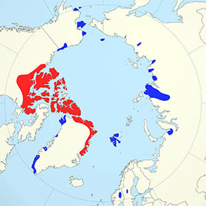muskoxen-range